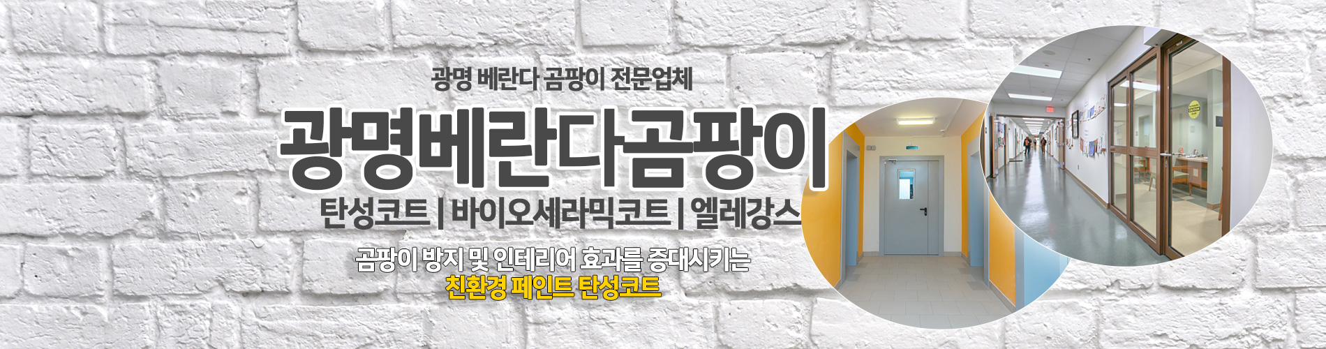 광명베란다곰팡이 PC 비주얼 0